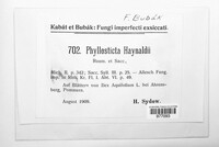Phyllosticta haynaldi image
